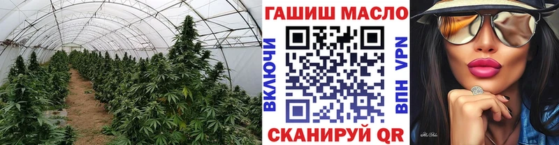 даркнет сайт  Кимры  Дистиллят ТГК Wax 